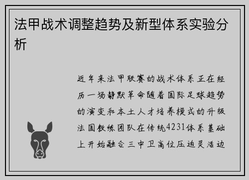 法甲战术调整趋势及新型体系实验分析